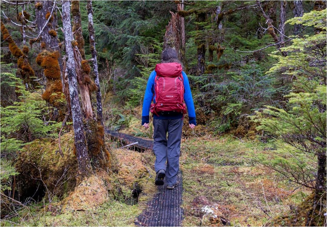 tongass national forest