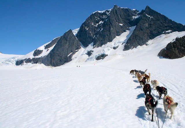 juneau dog sledding