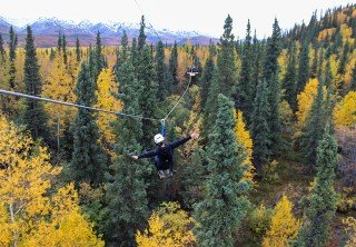 Photo of hands free soaring through the trees