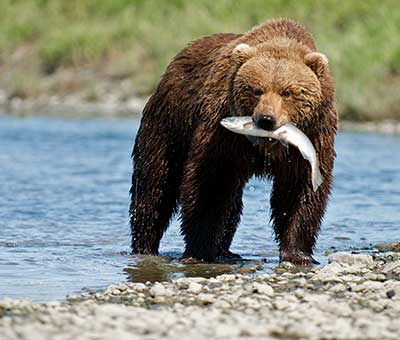 Photo of Icy Strait Point Top Destinations Image2