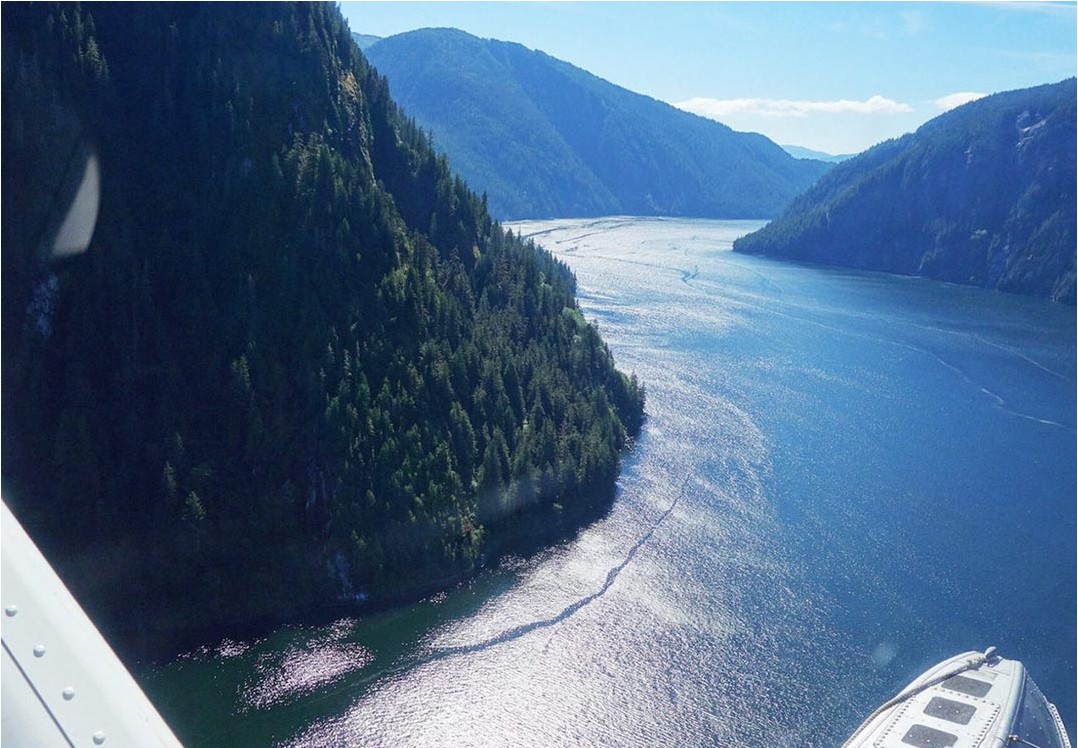 misty fjords