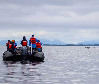 Photo of ocean wilderness expedition 2 thunbnail