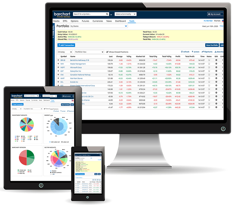 Build Portfolios to track your investments.